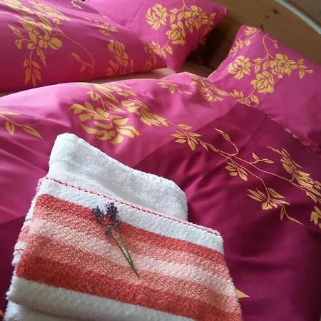 Pensión Max Pernink