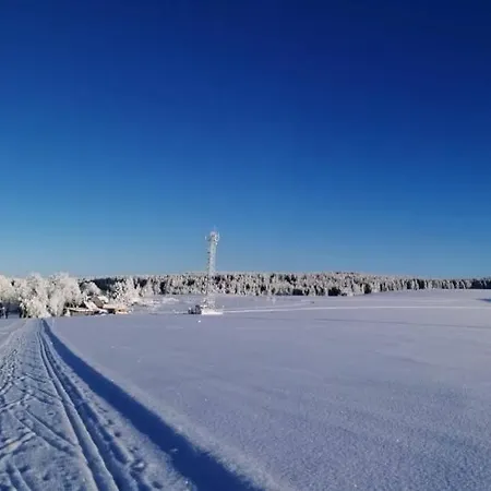 Max Pensión Pernink