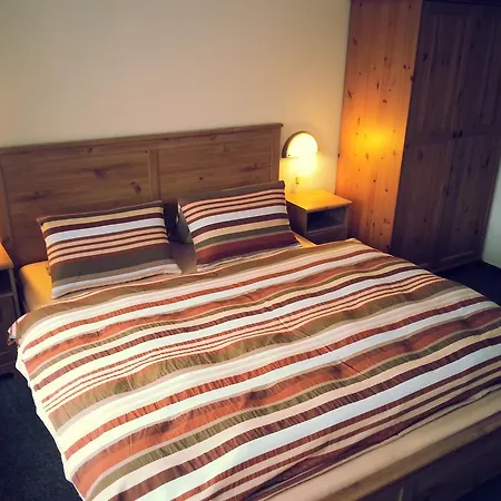Max Guest house *