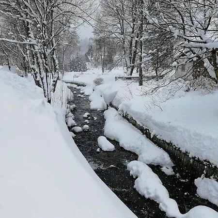 Max Pensión Pernink