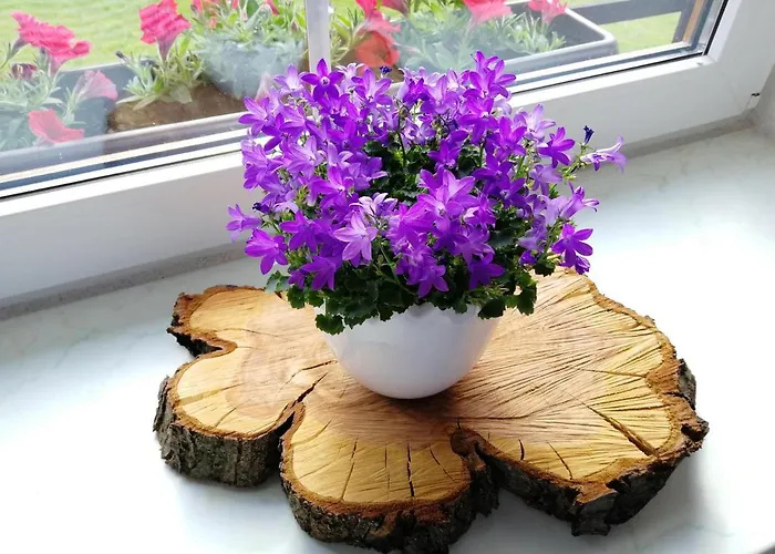 Max Casa de hóspedes